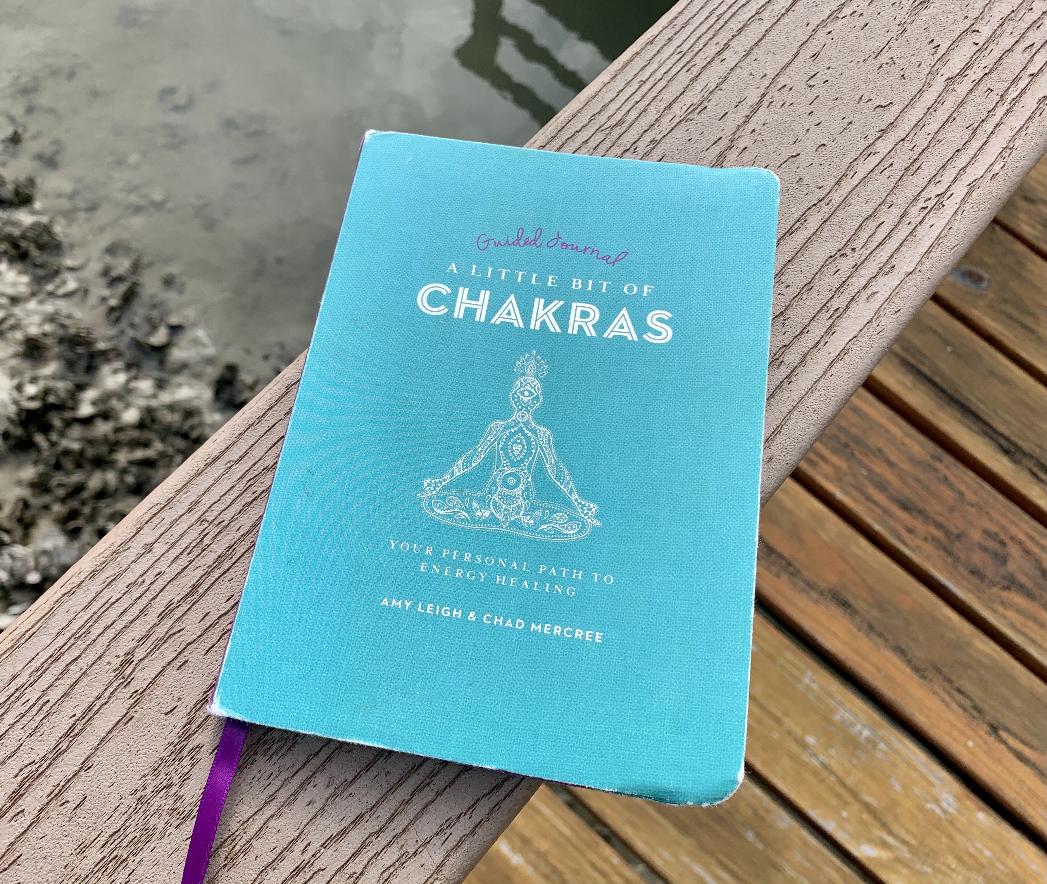 Don&rsquo;t judge a chakra book by its Western authors :}