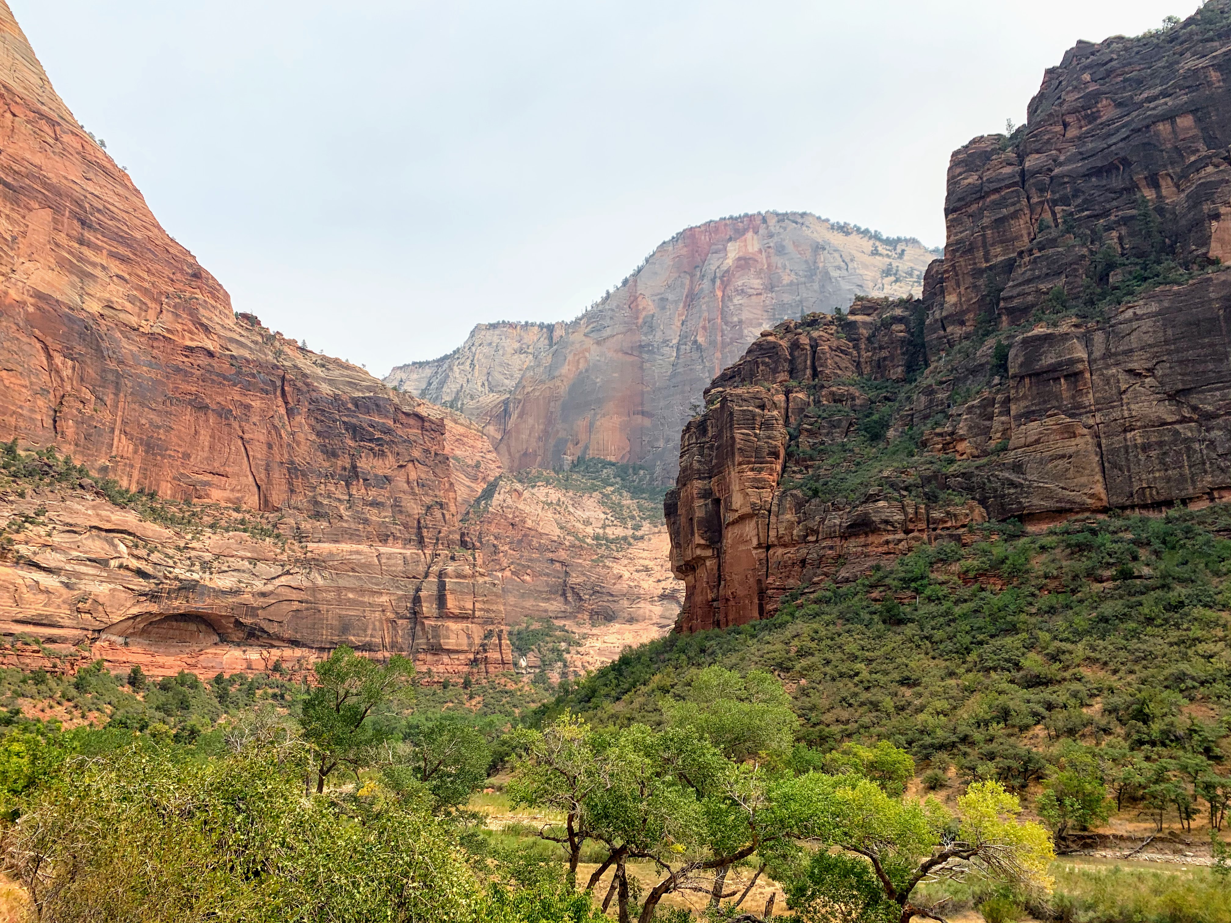 Until next time, Zion :}