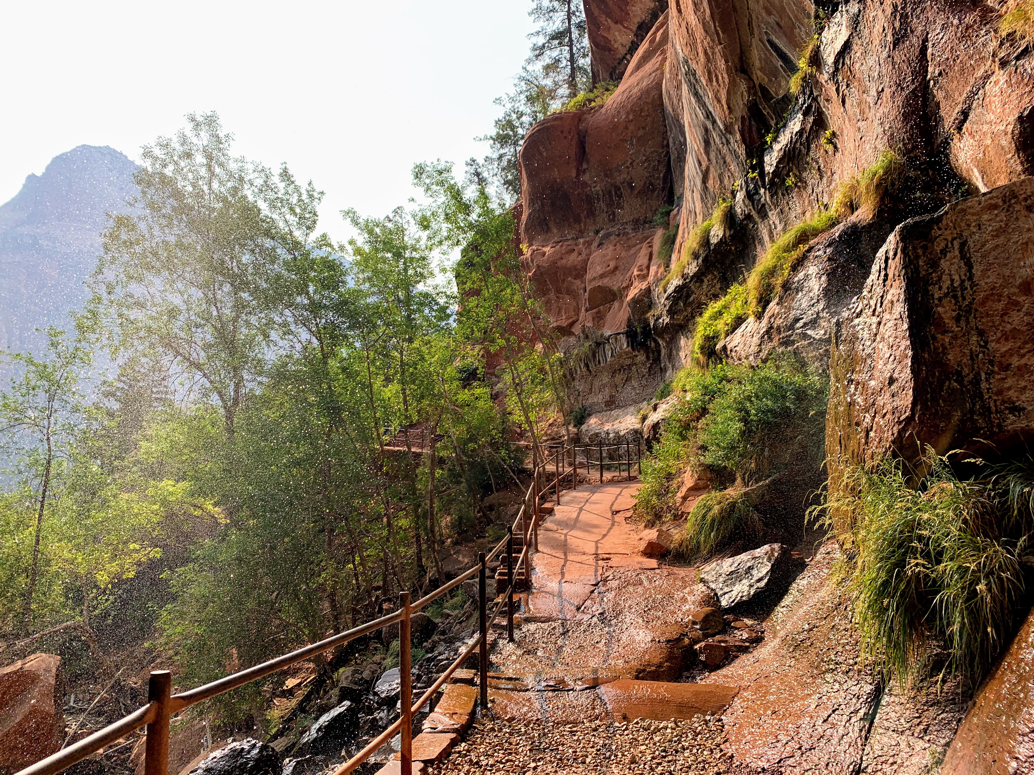 Lower Emerald Trail in Zion National Park.